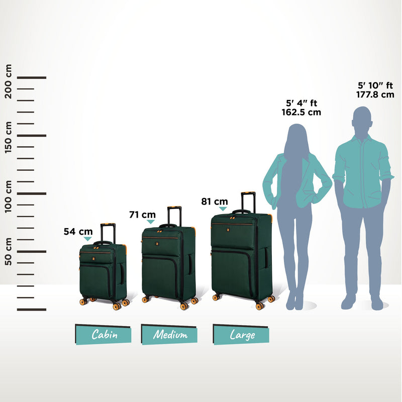 Compartment - 3pc Set (Space Forest)