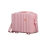 Luxuriant - Vanity Case (Prada Pink)